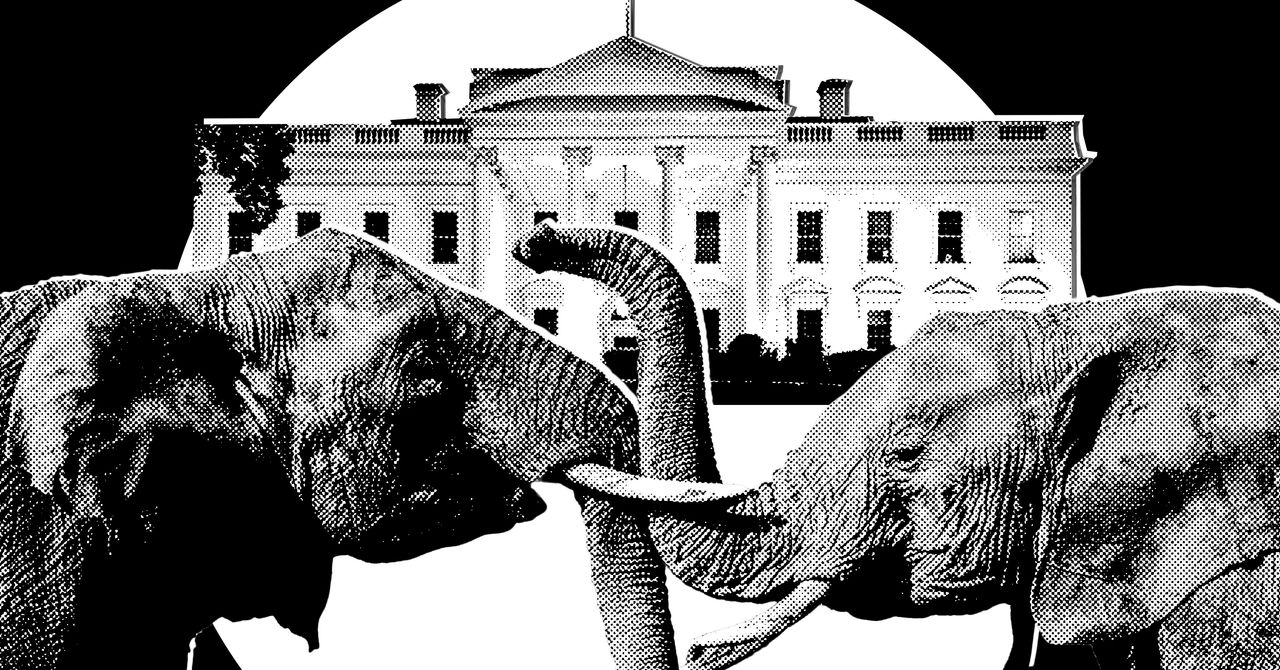 It’s Officially Election Season in Trumpworld
