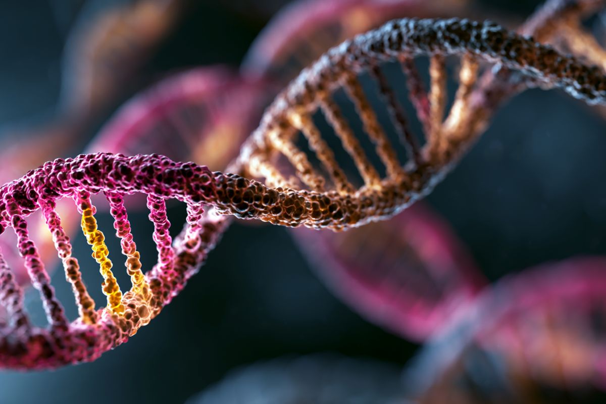 Ces1 Genes Linked to Compulsive Cocaine Addiction